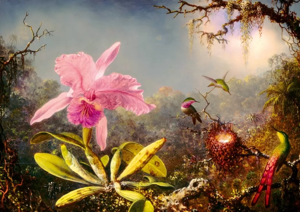 Bluebird Vogelpuzzels>Art By : Cattleya Orchid And Three Hummingbirds (1000) Kunstpuzzel