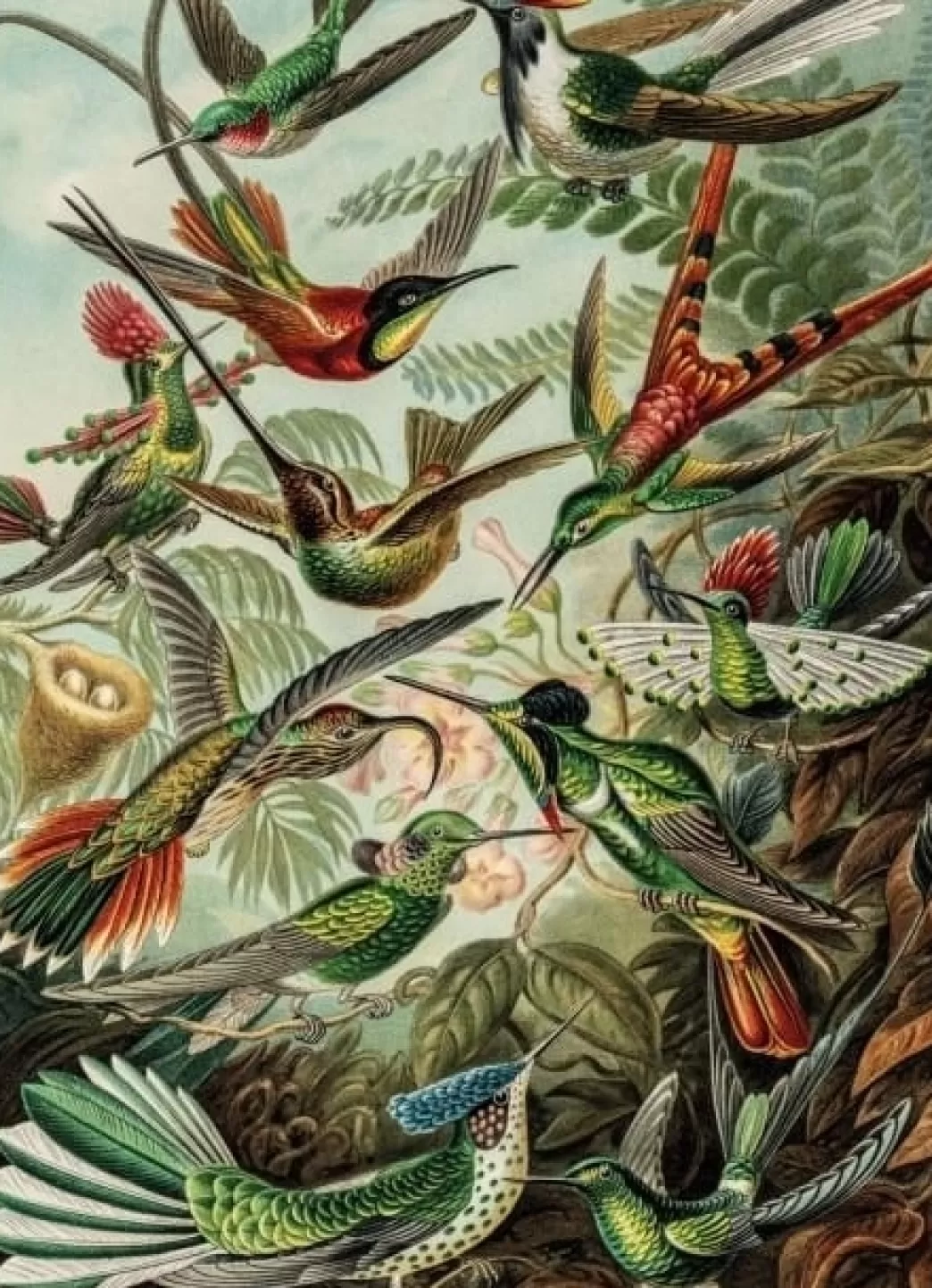 Bekking & Blitz Vogelpuzzels>Bekking En Blitz: Kunstformen Der Natur (1000) Verticale Vogelpuzzel