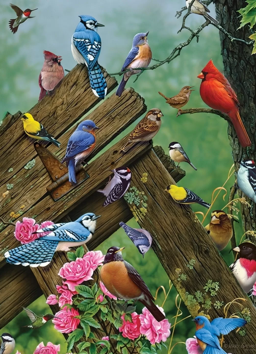 Cobble Hill Vogelpuzzels>: Birds Of The Forest (1000) Verticale Puzzel