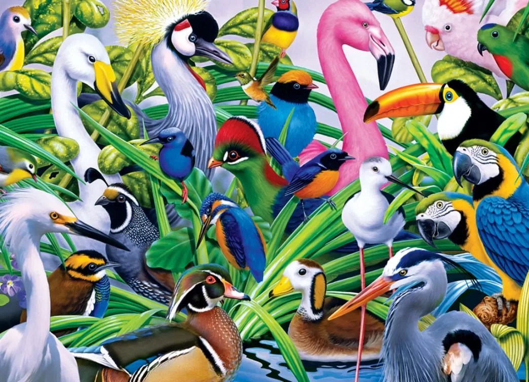 Master Pieces Vogelpuzzels>: Audubon - Colorful Companions (1000) Vogelpuzzel