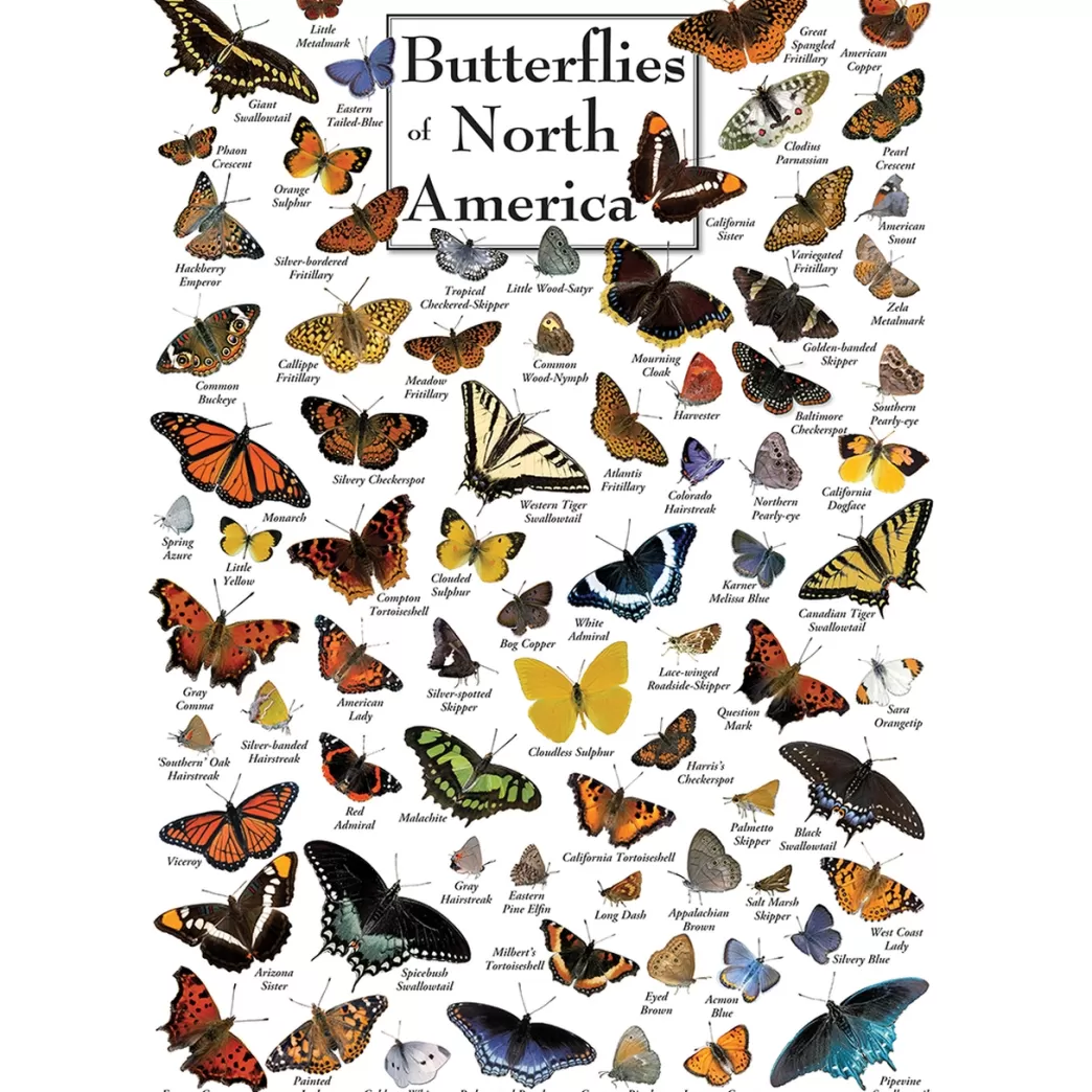 Master Pieces Vlinderpuzzels>: Butterflies Of North America (1000) Verticale Puzzel